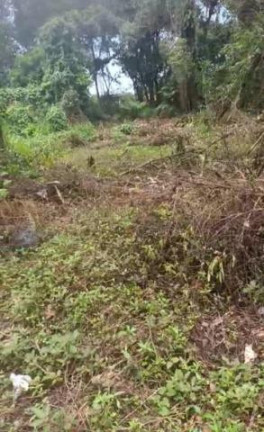 Terreno à Venda, 300 m² em Jardim Anchieta - Itanhaém