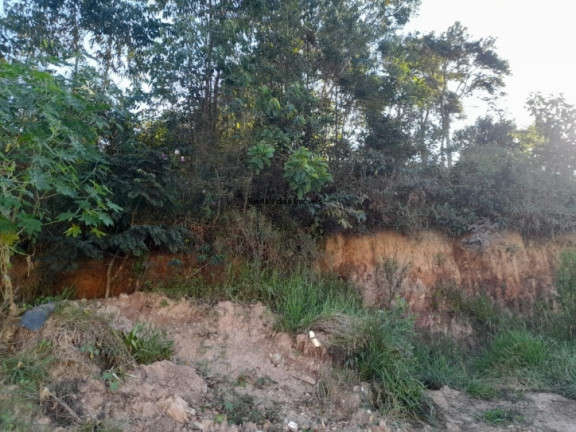 Imagem Terreno à Venda, 20.000 m² em Terra Preta (terra Preta) - Mairiporã Imagem Terreno à Venda, 20.000 m² em Terra Preta (terra Preta) - Mairiporã