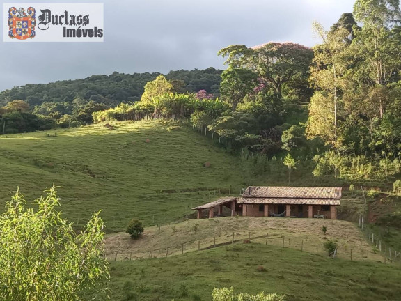 Chácara com 3 Quartos à Venda, 41.000 m² em Bairro Do Azevedo - Joanópolis