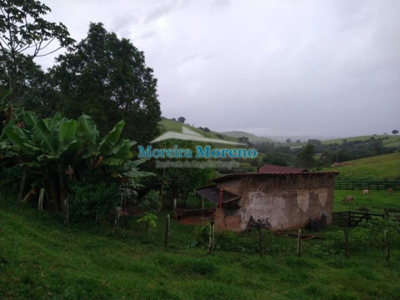 Imagem Imóvel com 1 Quarto à Venda, 11 m² em Zona Rural - Borda Da Mata Imagem Imóvel com 1 Quarto à Venda, 11 m² em Zona Rural - Borda Da Mata