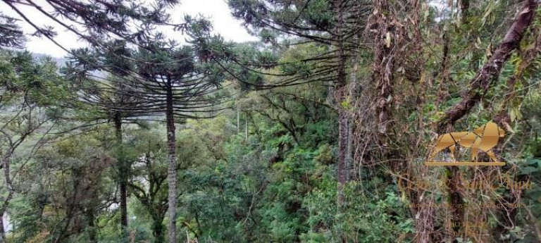 Imagem Terreno à Venda, 5.170 m² em Descansópolis - Campos Do Jordão Imagem Terreno à Venda, 5.170 m² em Descansópolis - Campos Do Jordão