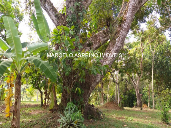 Imagem Imóvel com 3 Quartos à Venda, em Carobeira - Ilhéus Imagem Imóvel com 3 Quartos à Venda, em Carobeira - Ilhéus