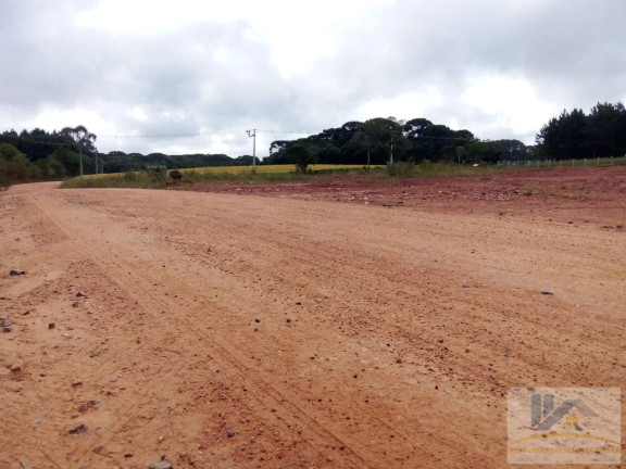 Imagem Terreno à Venda, 4.411 m² em Campo Largo Da Roseira - São José Dos Pinhais