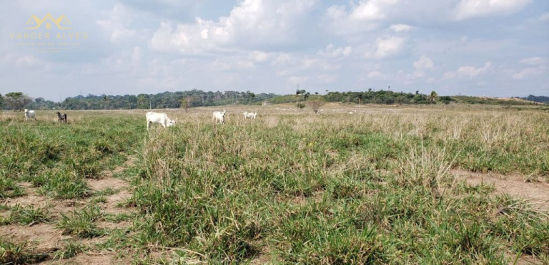 Imagem Imóvel com 5 Quartos à Venda, 4.017.000 m² em Zona Rural Imagem Imóvel com 5 Quartos à Venda, 4.017.000 m² em Zona Rural