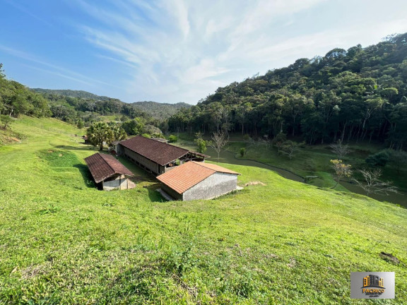 Imagem Imóvel com 7 Quartos à Venda, 242.000 m² em Pocinho - São Lourenço Da Serra Imagem Imóvel com 7 Quartos à Venda, 242.000 m² em Pocinho - São Lourenço Da Serra