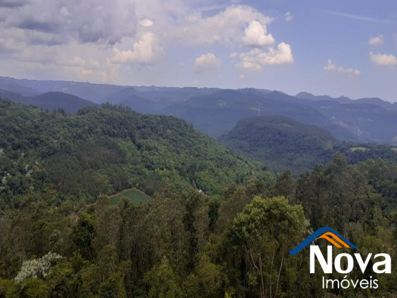 Imagem Imóvel à Venda, em Linha Olinda - Nova Petrópolis Imagem Imóvel à Venda, em Linha Olinda - Nova Petrópolis