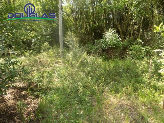 Imagem Imóvel Comercial à Venda,  em Viamão