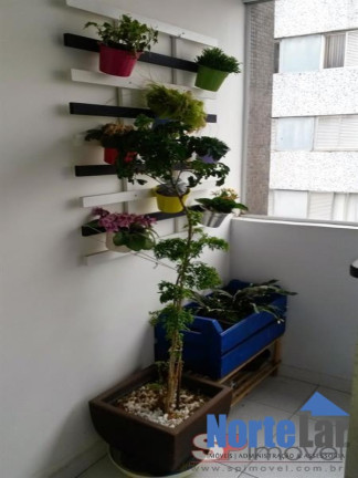 Imagem Apartamento com 2 Quartos à Venda, 67 m² em Vila Medeiros - São Paulo Imagem Apartamento com 2 Quartos à Venda, 67 m² em Vila Medeiros - São Paulo