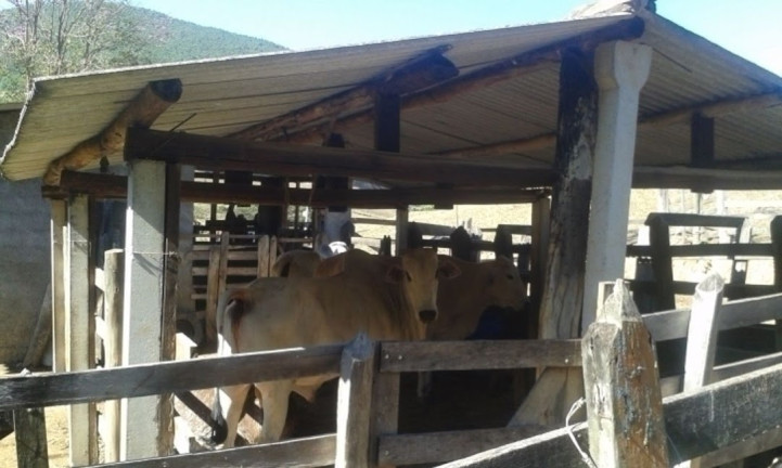 Imagem Chácara com 3 Quartos à Venda, 300 m² em Canaã - Jambeiro Imagem Chácara com 3 Quartos à Venda, 300 m² em Canaã - Jambeiro