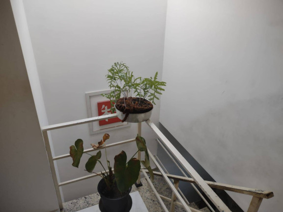 Imagem Casa com 3 Quartos à Venda, 110 m² em Jardim Independência - São Paulo