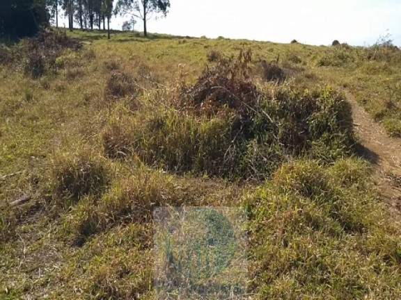 Imagem Imóvel com 4 Quartos à Venda, 540.628 m² em Zona Rural - Biguatinga
