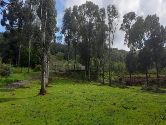 Imagem Terreno à Venda, 2 m² em Linha Imperial - Nova Petrópolis Imagem Terreno à Venda, 2 m² em Linha Imperial - Nova Petrópolis