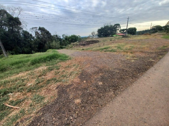 Imagem Terreno à Venda, 2.545 m² em Rodovia - Concórdia Imagem Terreno à Venda, 2.545 m² em Rodovia - Concórdia