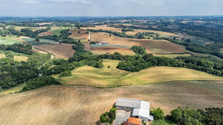 Imagem Terreno à Venda, 145.200 m² em Vila Dom Pedro Ii - Campo Largo Imagem Terreno à Venda, 145.200 m² em Vila Dom Pedro Ii - Campo Largo
