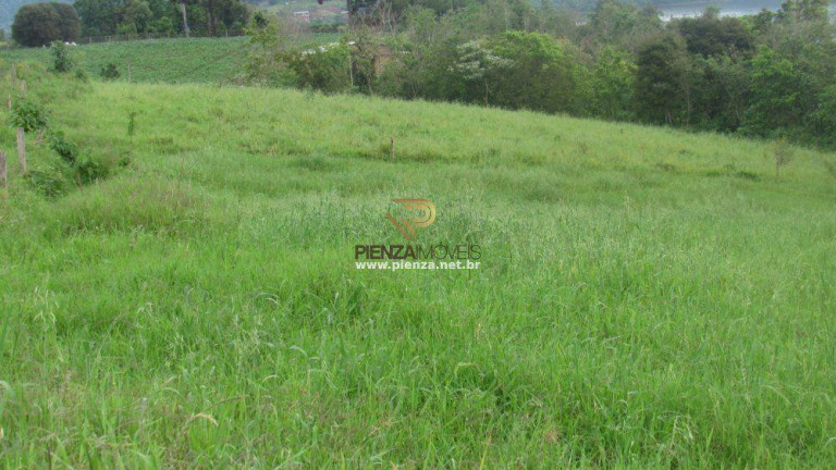 Imagem Terreno à Venda, 26.000 m² em Rural - Concórdia Imagem Terreno à Venda, 26.000 m² em Rural - Concórdia