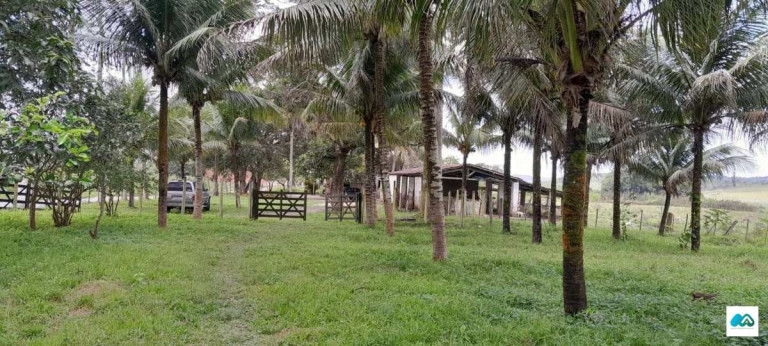 Imagem Chácara à Venda, 3.000 m² em Murici Imagem Chácara à Venda, 3.000 m² em Murici