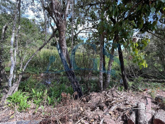 Imagem Imóvel com 2 Quartos à Venda, 1.624 m² em Ibiúna - Ibiúna Imagem Imóvel com 2 Quartos à Venda, 1.624 m² em Ibiúna - Ibiúna