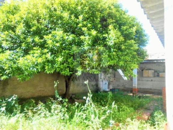 Imagem Casa com 4 Quartos à Venda, 180 m² em Rio Branco - Porto Alegre Imagem Casa com 4 Quartos à Venda, 180 m² em Rio Branco - Porto Alegre