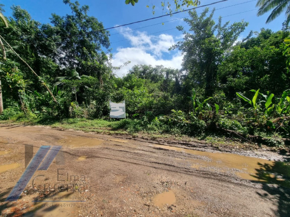 Imagem Terreno à Venda, 540 m² em Itamambuca - Ubatuba Imagem Terreno à Venda, 540 m² em Itamambuca - Ubatuba