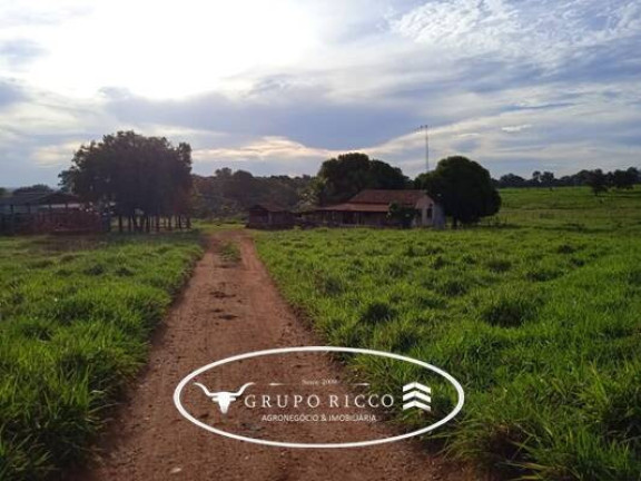 Imagem Fazenda à Venda, em Zona Rural - Montes Claros De Goiás Imagem Fazenda à Venda, em Zona Rural - Montes Claros De Goiás