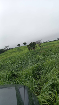 Imagem Fazenda à Venda, 2.114 m² em Jangada Imagem Fazenda à Venda, 2.114 m² em Jangada