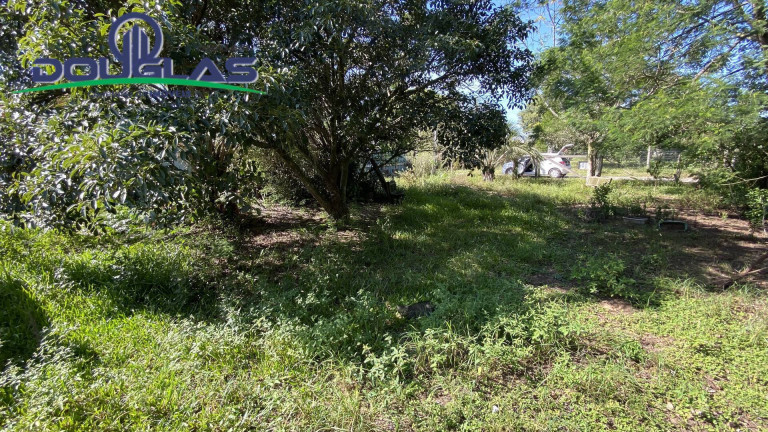 Imagem Terreno à Venda, 600 m² em Viamão Imagem Terreno à Venda, 600 m² em Viamão