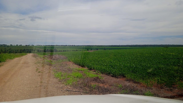 Imagem Fazenda à Venda, 8.100 m² em Rural - Chapadão Do Sul