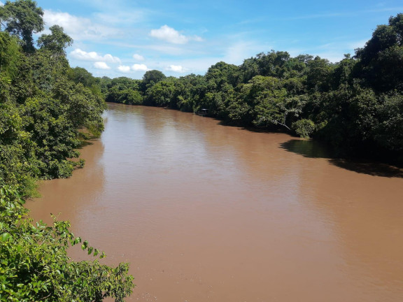 Imagem Imóvel com 1 Quarto à Venda, 21.000 m² em Zona Rural - Palmeiras (dois Irmãos Do Buriti)