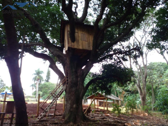 Imagem Chácara com 2 Quartos à Venda, 14.000 m² em Estrada Santa Fe - Marialva Imagem Chácara com 2 Quartos à Venda, 14.000 m² em Estrada Santa Fe - Marialva
