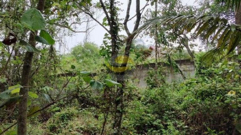Imagem Terreno à Venda, 3.000 m² em Paisagem Renoir - Cotia