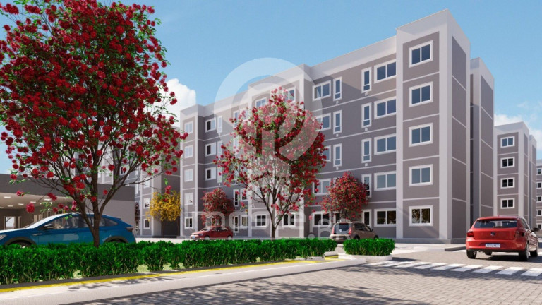 Imagem Apartamento com 2 Quartos à Venda, 40 m² em Pajuçara - Maracanaú Imagem Apartamento com 2 Quartos à Venda, 40 m² em Pajuçara - Maracanaú