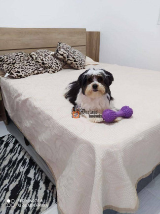 Imagem Casa com 2 Quartos à Venda, 45 m² em Cibratel Ii - Itanhaém Imagem Casa com 2 Quartos à Venda, 45 m² em Cibratel Ii - Itanhaém