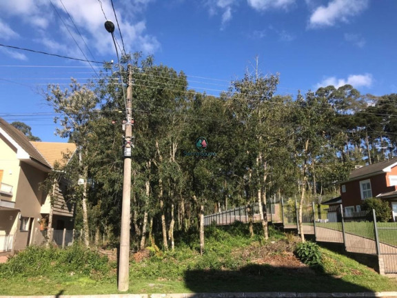 Imagem Terreno à Venda, 825 m² em Vale Das Colinas - Gramado Imagem Terreno à Venda, 825 m² em Vale Das Colinas - Gramado