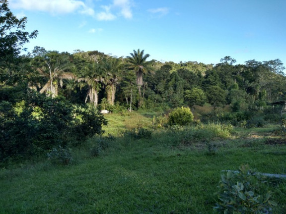Imóvel com 3 Quartos à Venda, 24 m² em Pontal - Ilhéus