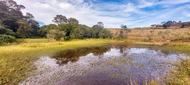 Imagem Terreno à Venda, 21.000 m² em Tuiuti Imagem Terreno à Venda, 21.000 m² em Tuiuti