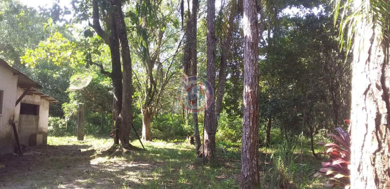 Imagem Fazenda à Venda, 5.000 m² em San Marcos - Itanhaém Imagem Fazenda à Venda, 5.000 m² em San Marcos - Itanhaém