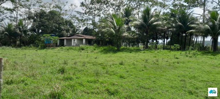 Imagem Chácara à Venda, 3.000 m² em Murici Imagem Chácara à Venda, 3.000 m² em Murici