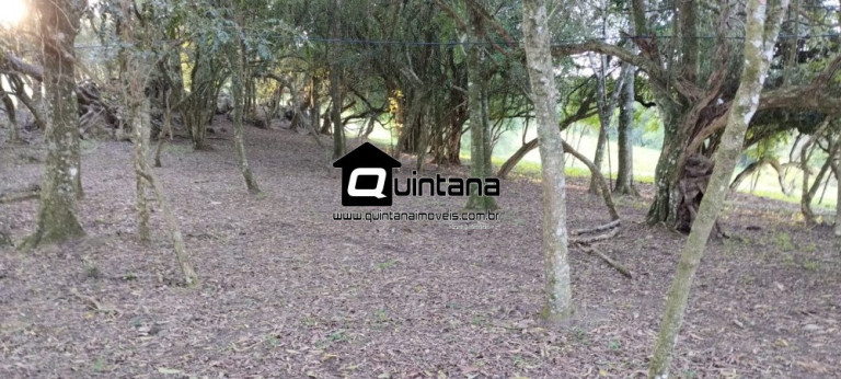 Imagem Imóvel com 1 Quarto à Venda, 230.000 m² em Santo Amor - Morro Redondo Imagem Imóvel com 1 Quarto à Venda, 230.000 m² em Santo Amor - Morro Redondo