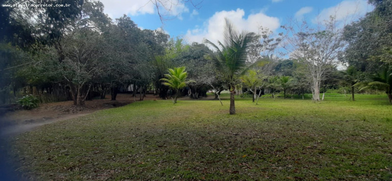 Imagem Imóvel com 30 Quartos à Venda, 40.000 m² em Indústrias - João Pessoa Imagem Imóvel com 30 Quartos à Venda, 40.000 m² em Indústrias - João Pessoa