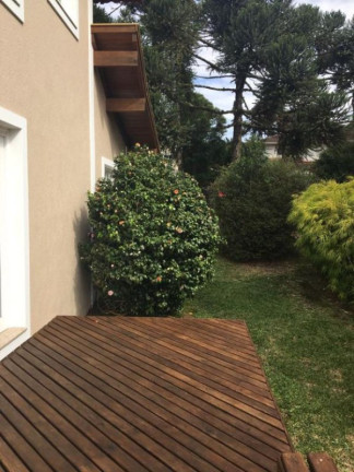 Imagem Imóvel com 3 Quartos à Venda, 701 m² em Laje De Pedra - Canela Imagem Imóvel com 3 Quartos à Venda, 701 m² em Laje De Pedra - Canela