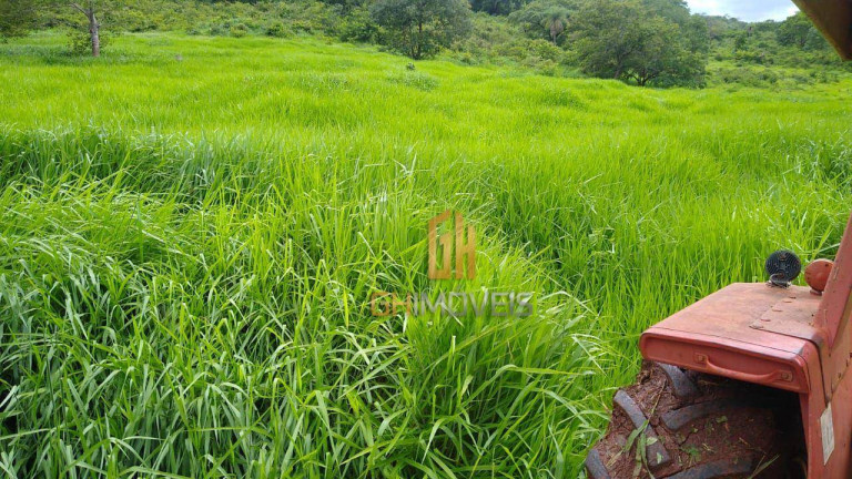 Chácara à Venda, 290.400 m² em Barro Alto - Barro Alto