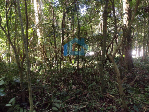 Imagem Terreno à Venda, 2.301 m² em Jardim Santa Paula - Cotia