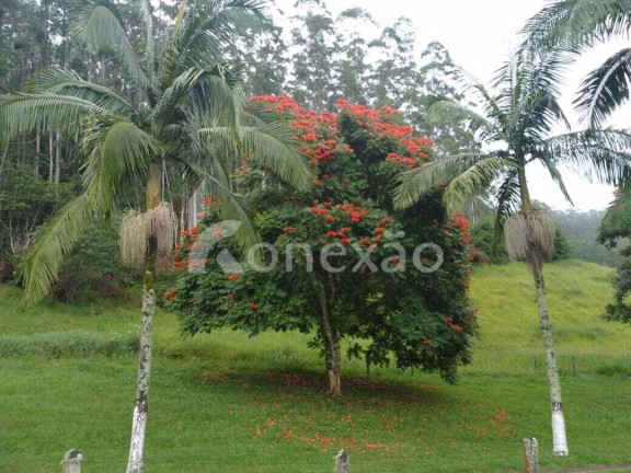 Imagem Fazenda à Venda, 100 m² em Turvo - São José Dos Campos Imagem Fazenda à Venda, 100 m² em Turvo - São José Dos Campos