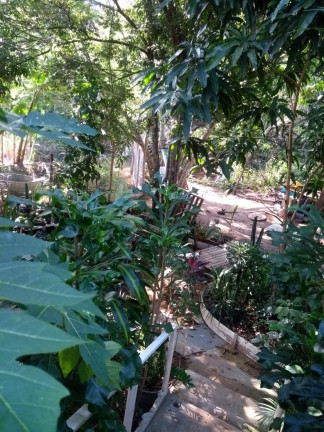 Imagem Imóvel com 2 Quartos à Venda,  em Palmeira - Guarapari