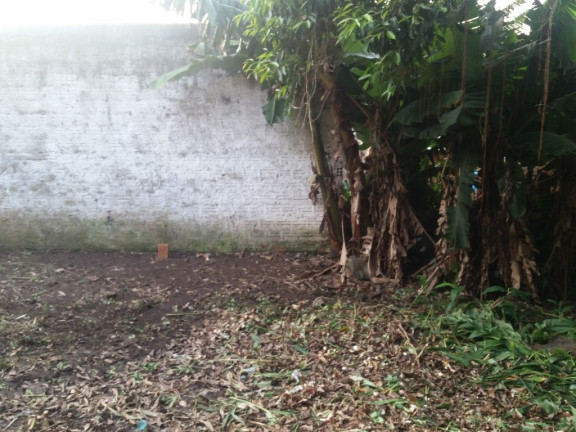 Imagem Terreno à Venda, 120 m² em Camaquã - Porto Alegre