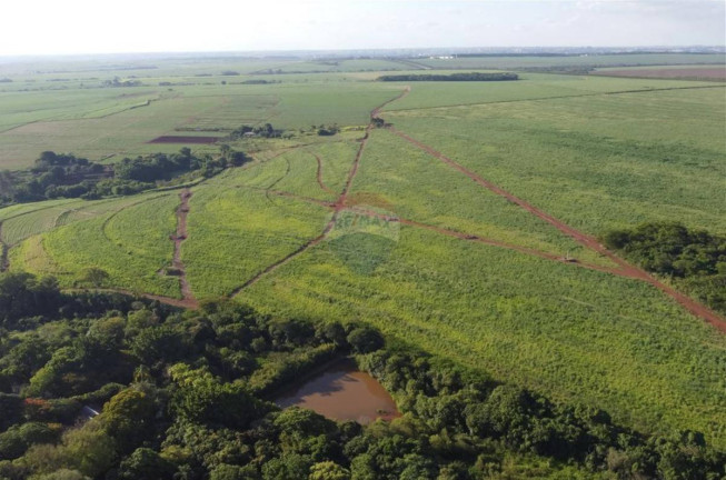 Imagem Fazenda à Venda, 830.000 m² em Jardim Do Carmo - Araraquara Imagem Fazenda à Venda, 830.000 m² em Jardim Do Carmo - Araraquara