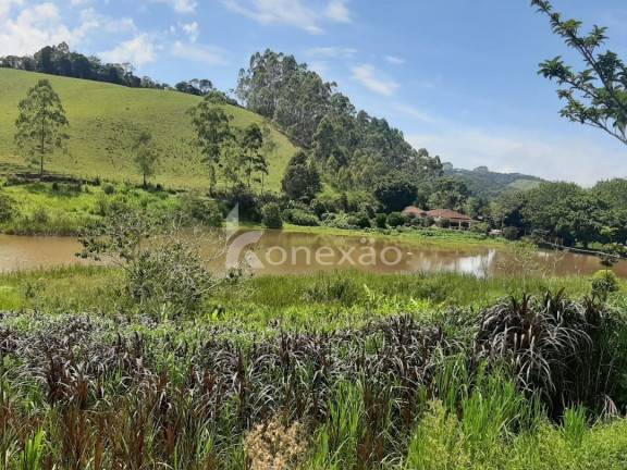 Imagem Fazenda à Venda, 600 m² em Pouso Alto - Natividade Da Serra Imagem Fazenda à Venda, 600 m² em Pouso Alto - Natividade Da Serra