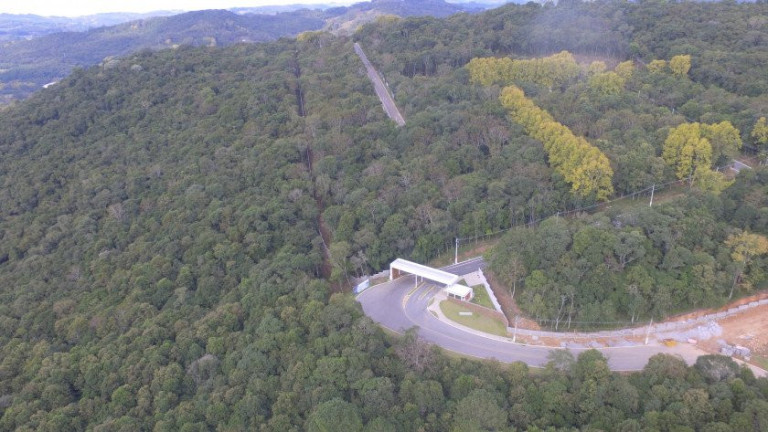Imagem Terreno à Venda, 2.159 m² em Santo Antao - Bento Gonçalves
