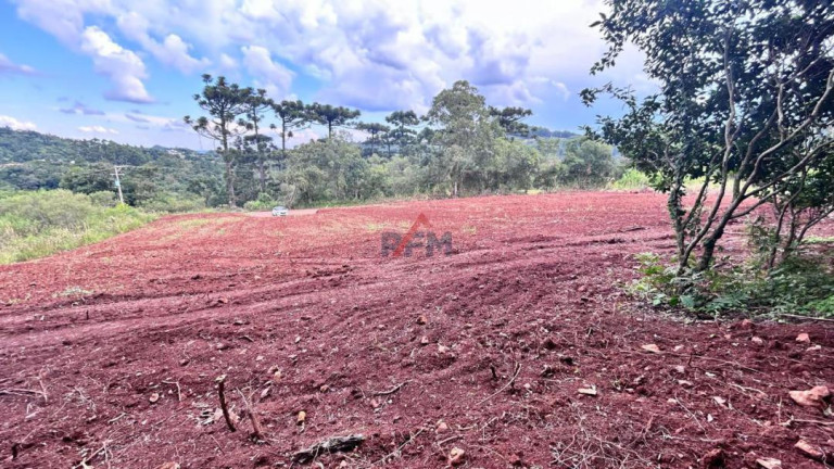 Imagem Imóvel à Venda, 20 m² em Centro - Linha Nova Imagem Imóvel à Venda, 20 m² em Centro - Linha Nova