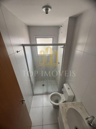 Imagem Apartamento com 2 Quartos para Alugar, 55 m² em Palmeiras De São José - São José Dos Campos Imagem Apartamento com 2 Quartos para Alugar, 55 m² em Palmeiras De São José - São José Dos Campos